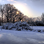 2010 01 06 Snowed in
