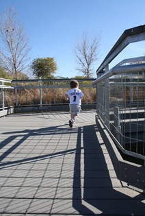 IMG_1336 IMG_1336