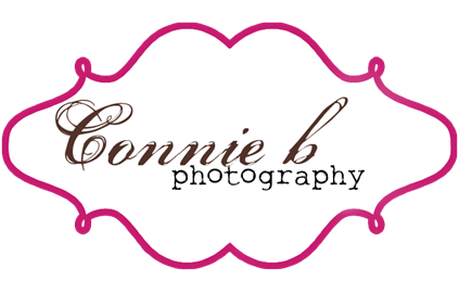 conniebphotographyheader conniebphotographyheader