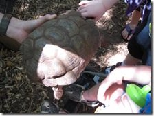 7-21-09 norman zoo 036
