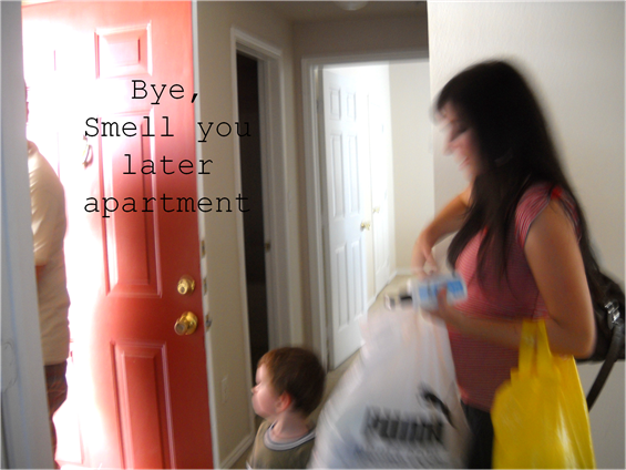 [Picture1[5].png]