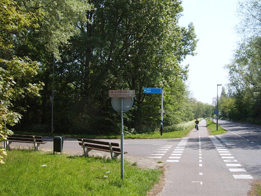 rotterd
