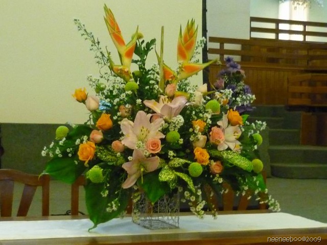 [P1090048[2].jpg]