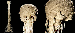 Twine Skull Sculpture by Jim
