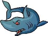 tiburon14