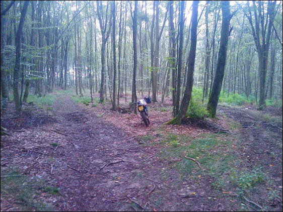 derbi senda cross sprint