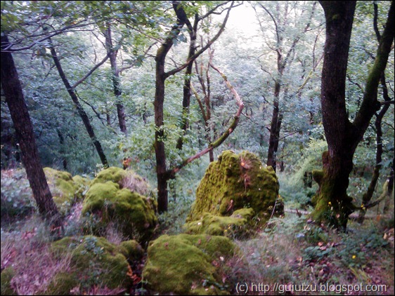 cetatea dezna traseu enduro turistic