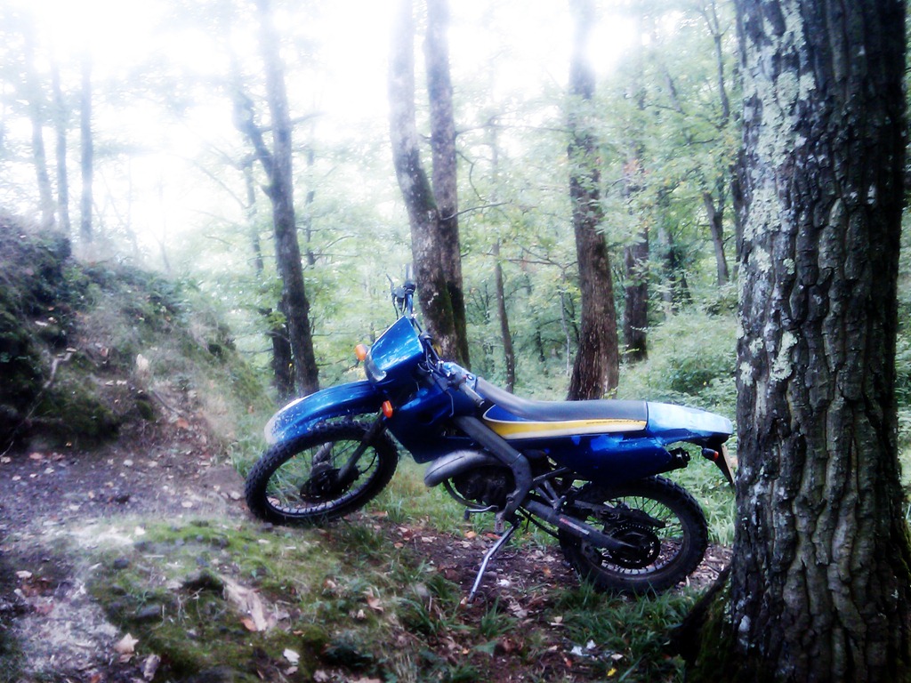 [trasee enduro arad cetatea deznei[5].jpg]