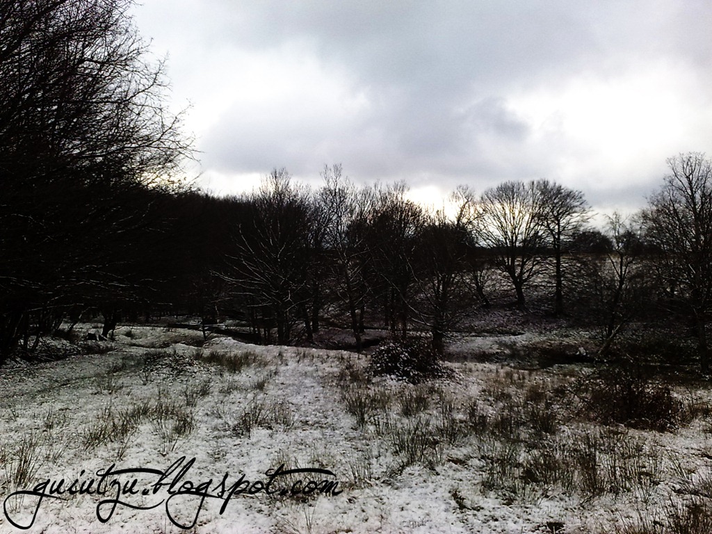 [dezna arad motociclism[7].jpg]