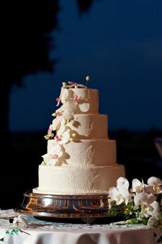[cake[5].jpg]