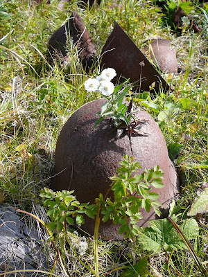 Никтон езабыт