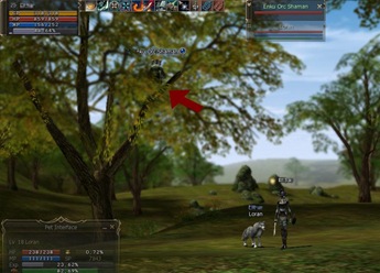 In Lineage II mobs and items would spawn in spots, where they arent even supposed to know these spots existed at all!