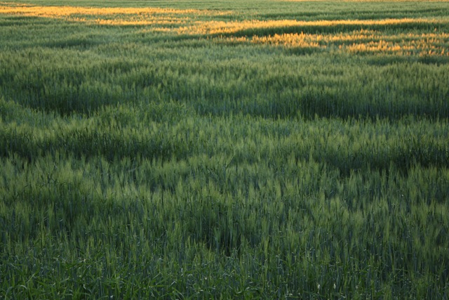 [020710 045[5].jpg]