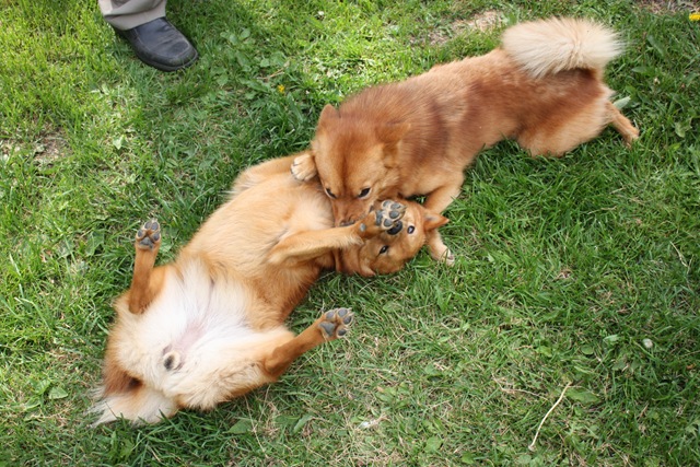 [talo 107[7].jpg]