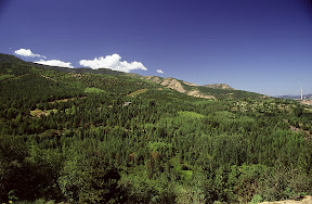 America The Beautiful - Idaho's old Bunker Hill Company - once one of the largest lead-silver mining and smelting operations in the world - planted more than two million pine and fir seedlings on the barren hills around Kellogg. The seedlings, which were grown in an underground greenhouse in the mine in the 1970s, are now 30 to 40 feet tall. Look closely on the far right and you'll see one of the stacks at the company's old smelter. Both the smelter and its  stacks are gone now.