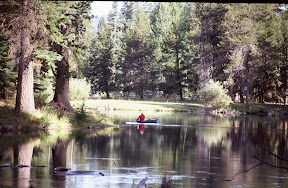 America The Beautiful - A lone caneist plies the quiet waters of an unknown stream not far from southern Oregon's Klamath Lake. This is big ponderosa pine country. At one time, there were several sawmills in the town of Klamath Falls, but the collapse of the federal timber sale program has devastated the once bustling community.