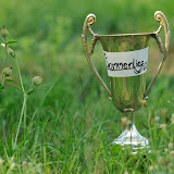 Sommerliga 2010