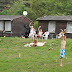 Sommerliga 2010