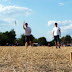 Sommerliga 2009