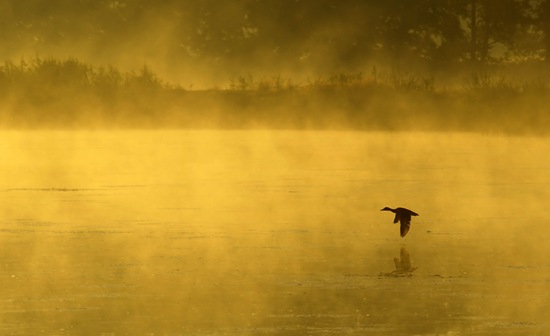 [Wide Screen Wallpapers6[2].jpg]