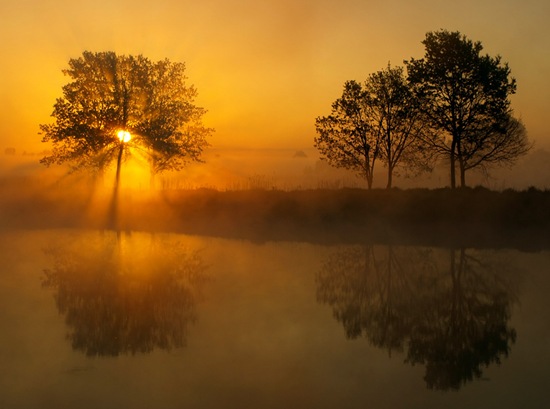 HD Nature Wallpapers