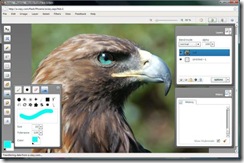 aviary phoenix