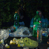 dsc00253.JPG
