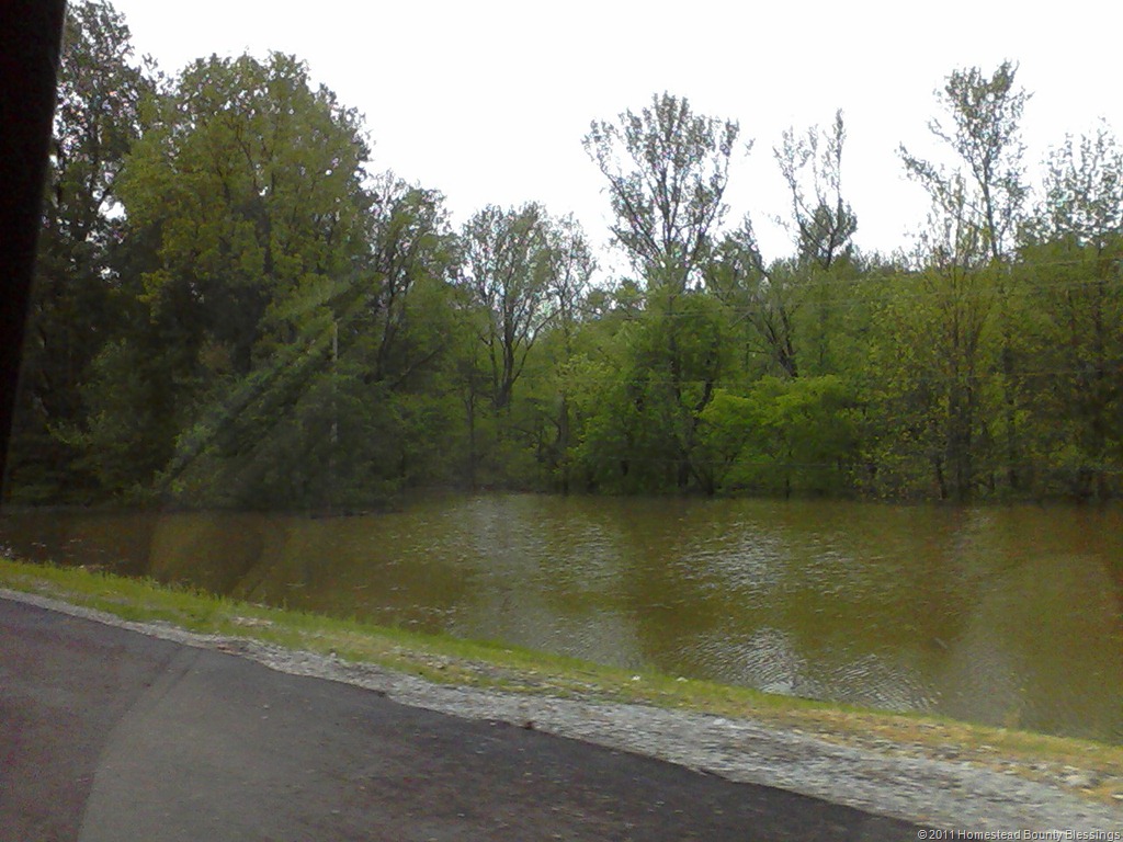 [2011-Flood-Rt-13-E-towards-Cdale15.jpg]