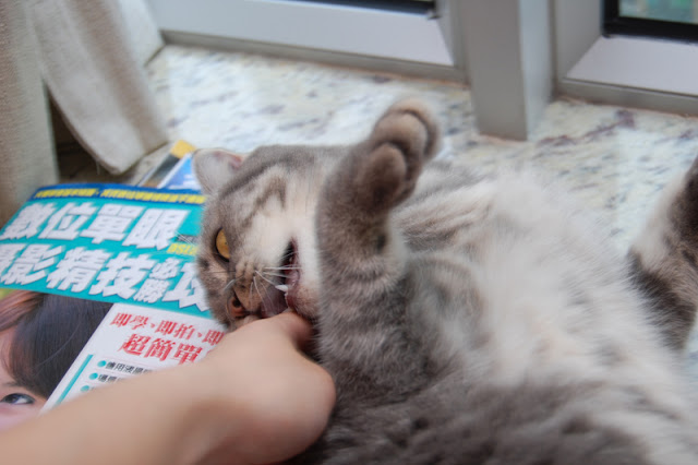 咬你 咬你