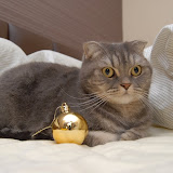 xmas 2009