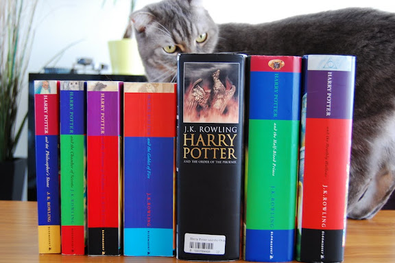 Harry Potter 咁多本都好睇 ge?! 咁多雞腸!