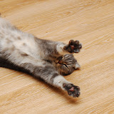 givemefive