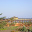 SANY0057.JPG