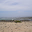 SANY0166.JPG