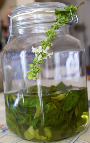 [Infusione[5].jpg]