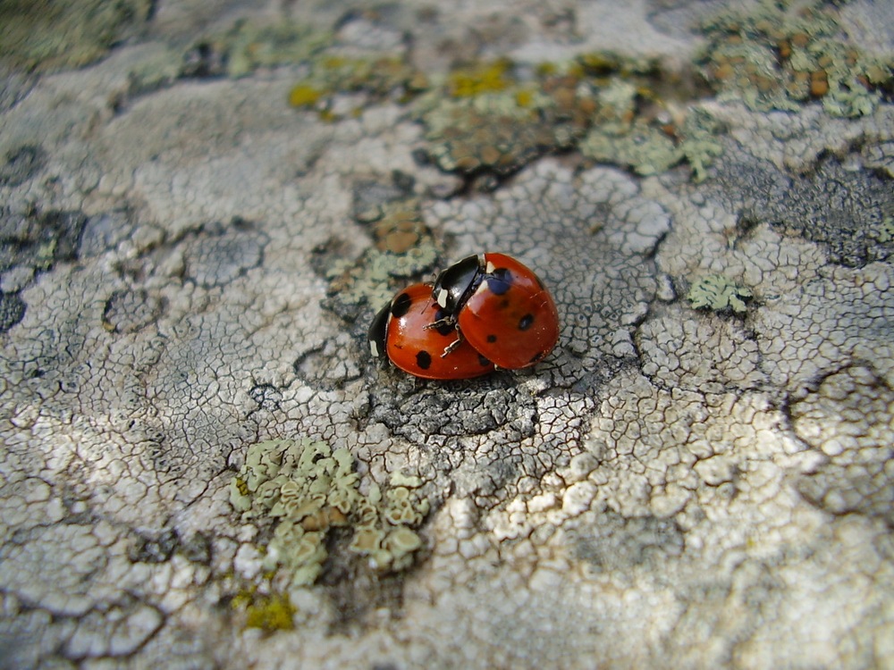 [PIC - 009-P5300083[5].jpg]