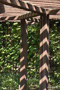 CRW_0096.jpg