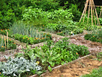 Meadowlark Inn garden ... we ate some wonderful herbs from that patch