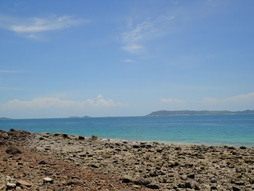 DSC00873.JPG