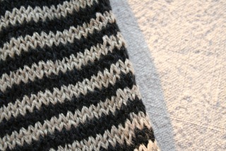 IMG_7267 IMG_7267