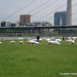 cimg0147.jpg