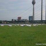 cimg0148.jpg