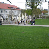CIMG4200.JPG