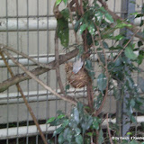 Tiergarten Recklinghausen 2007