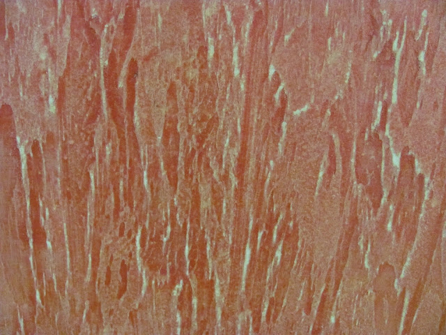 vrstva