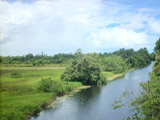 vende se fazenda sitio pedra de una ilheus bahia