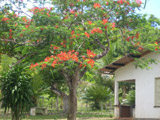 vende se fazenda 385 ha una ilheus bahia