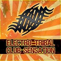 Baixar CD Electro Tribal Club Sensation