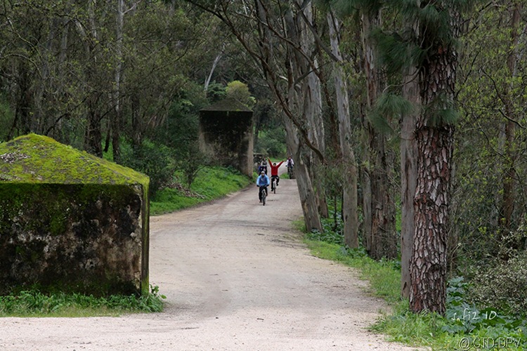 [BTT 18Fev10 009 copy[2].jpg]