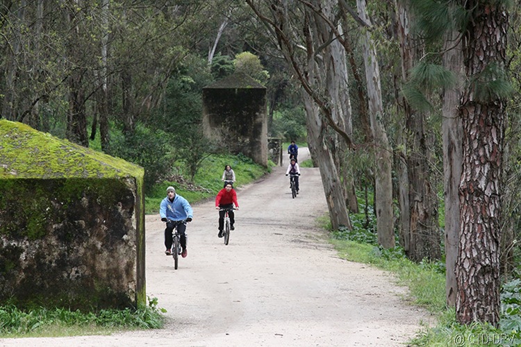 [BTT 18Fev10 010 copy[2].jpg]